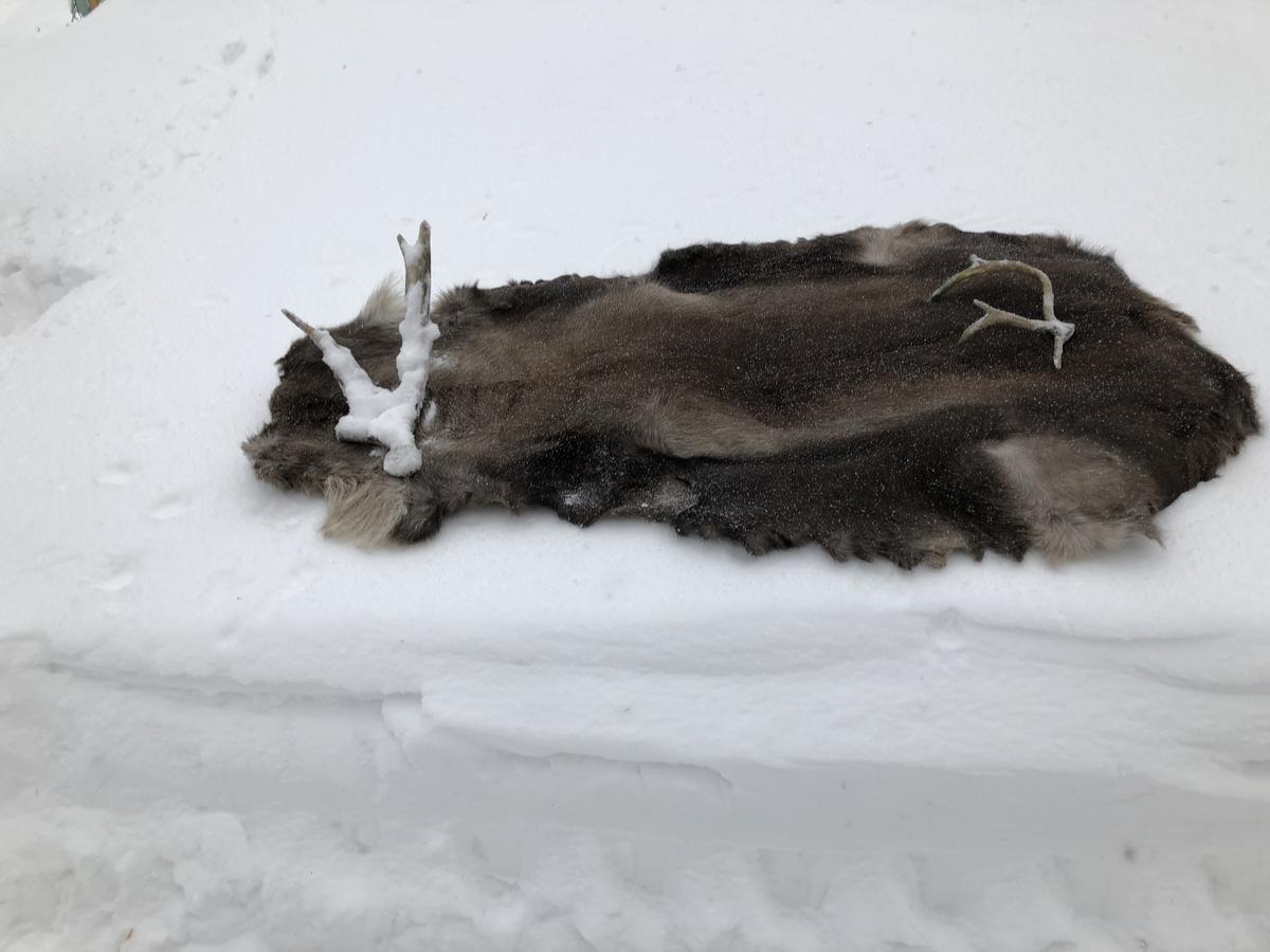 Holiday Home Roedvattnet Rodvattnet エクステリア 写真